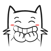 Cool kid cat