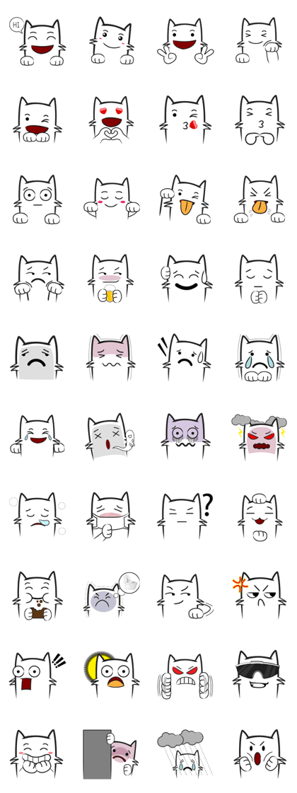 Cool kid cat