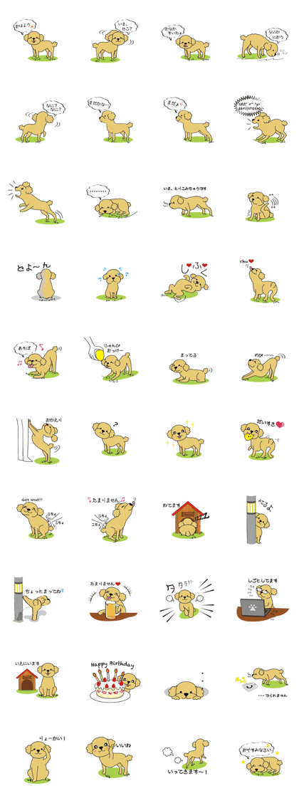 My Toy Poodle vol.1