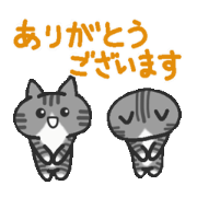 Full of twins cat (Greetings version)
