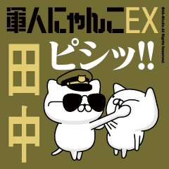 "TANAKA"name/Movie Military cat