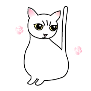 Balloon cat Apricot