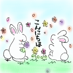 chocomint rabbit