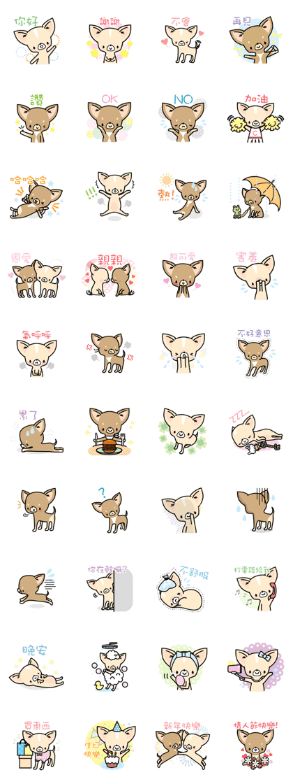 Tiny Lovely Chihuahua(Chinese)