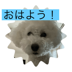Koko_20200314091727