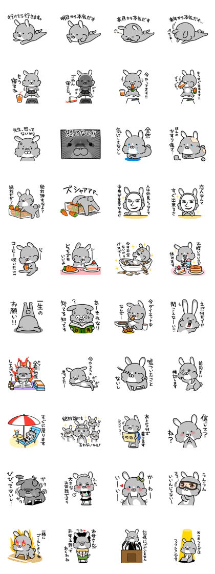 The rabbit which can't be trusted