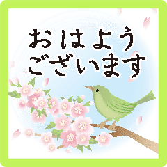 動く うぐいすと桜と梅 大人の和柄 春 Line スタンプ Line Store 動く うぐいすと桜と梅 大人の和柄 春 Line スタンプ Line Store