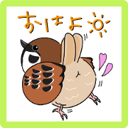 Greetings from lively birds