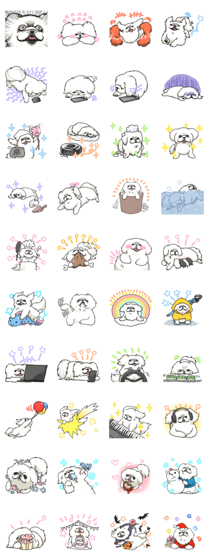 Pekingese's event