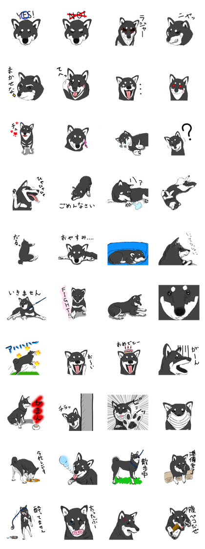 Black Shiba -Ku-