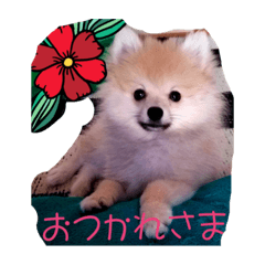 cherry_20200314161651