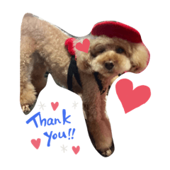 satomin_20200314170938