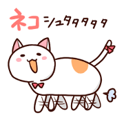 The cat I want to play
