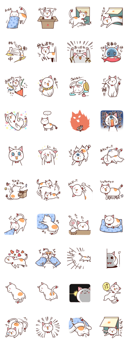 The cat I want to play