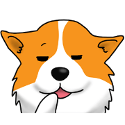Slightly impertinent Corgi