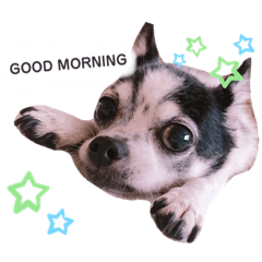 mizuki_20200314153150