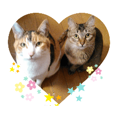 akiko_20200314181632