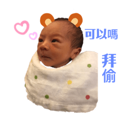 崴崴皓皓二寶日常