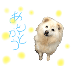 Saya_20200314190317