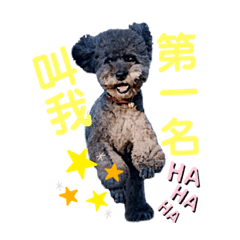 林宅の寶貝