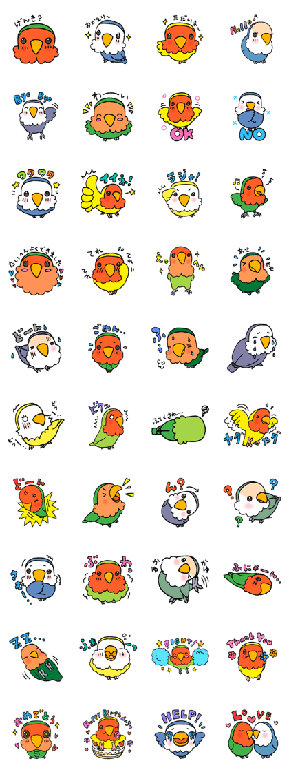 Kawainko (Rosy-faced lovebird)