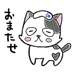 "SHIRO" the Onsen street cat