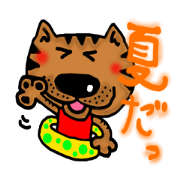 Summer cat Sticker