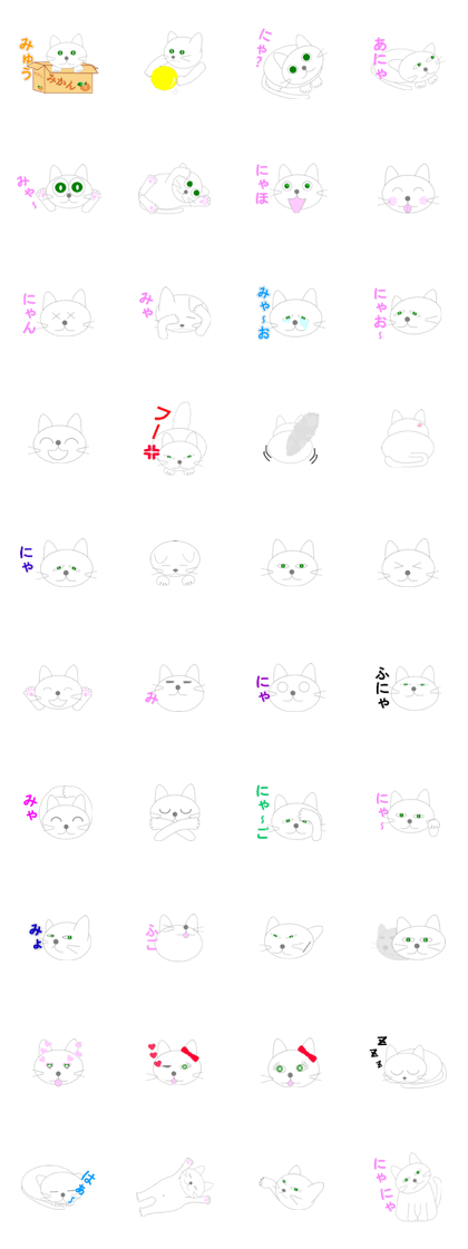 Chat kitten