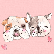 Friend of the bulldog