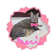 Michiko_20200314232440