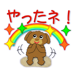 Conversation sticker of the poodle