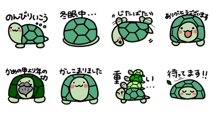 Green cute turtle