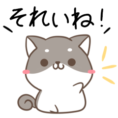 Yamaguchi dialect cat & dog 4