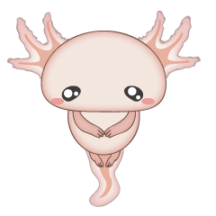 Axolotl PAKU-chan