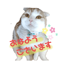 mina_20200315000045