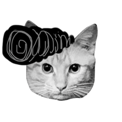 JOHNJOHN_
