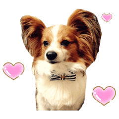 arisa_20200315100853