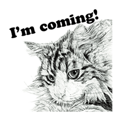 Cats & Dogs 2 with Words - English ver.