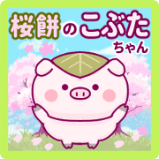 -Kobuta-chan of Sakuramochi-