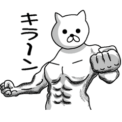 Muscle white cat