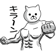 Muscle white cat