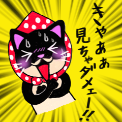 Black Cat, Kuroro