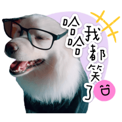 屁屁BrandNew 幸福日常