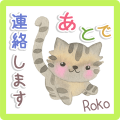 Cat with short legs Greeting Sticker