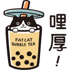Fat Cat's Everyday(Taiwanese Life)