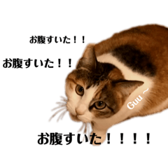 Stamplist Lineクリエイターズスタンプまとめサイト Part 187