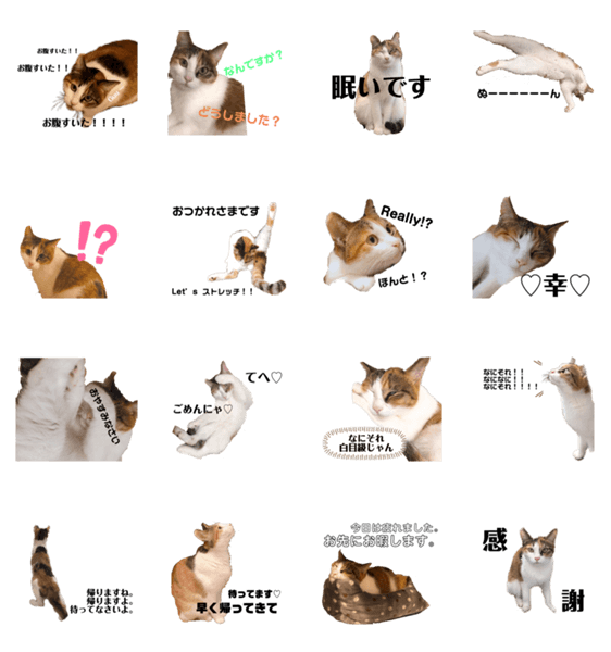 保護猫の三毛猫さん✳︎福✳︎」LINEクリエイターズスタンプ - stampList