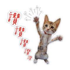 孩子們的歡樂世界