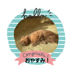 suzu_20200315174247