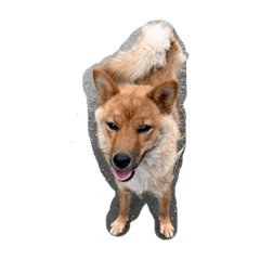 kaito_20200315160248